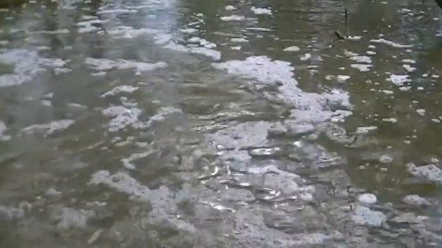 Смерть рыбы