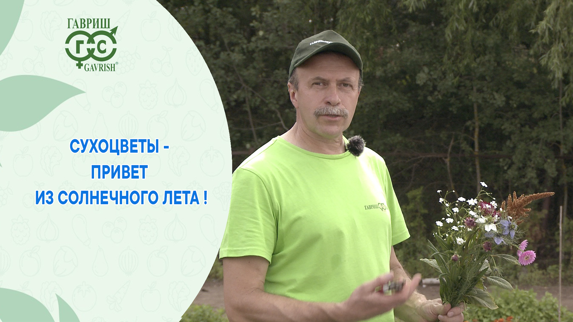 Сухоцветы - привет из солнечного лета! смотреть онлайн