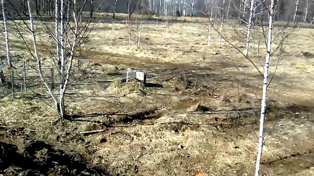 ?Подробно о высокой гряде и пруде Лягушатнике | Поселение родовых поместий #Стрелёнки смотреть онлайн