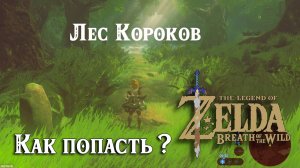 Лес Короков. The Legend of Zelda Breath of the Wild. Korok Forest