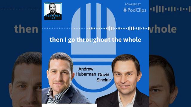Why This LONGEVITY EXPERT Only Eats ONCE Per Day | David Sinclair & Andrew Huberman смотреть онлайн
