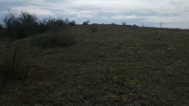 Богатый урожай сморчков и сюрприз от Одесских степей! Неожиданное соседство! 18 апреля 2021 года! смотреть онлайн