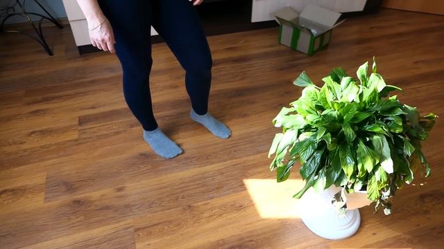 TDEKOR !! Одежда для младенцев !!!! Занимаемся цветами!