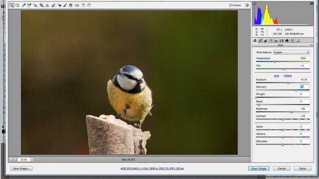 Working on Images in Photoshop Adobe Camera RAW window смотреть онлайн