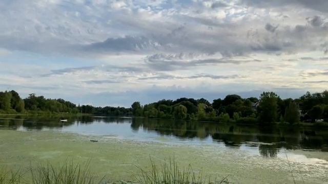 Медитация среди нас. Как медитировать в городе. Музыка жизни для медитации смотреть онлайн