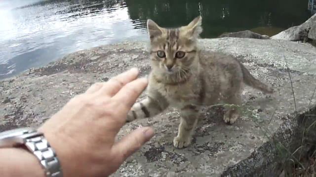 на базе отдыха Главного конструктора (озеро Тургояк) смотреть онлайн