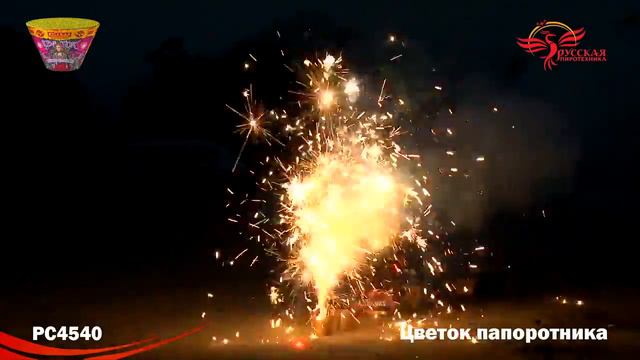 PC 4540 смотреть онлайн