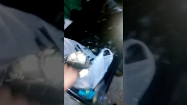 Лов рыбы в ночное время озеро уелги кунашак смотреть онлайн