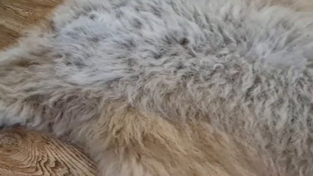 ОВЕЧЬЯ ШКУРА КОРИЧНЕВО-БЕЖЕВОГО ЦВЕТА (КОД: 4527 ) смотреть онлайн