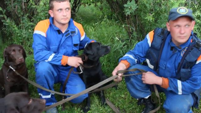 Поиски АН-2: спасатели-кинологи в Карпинске. смотреть онлайн