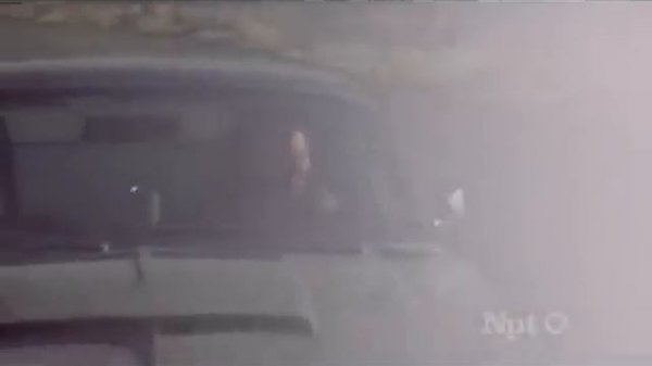 The Doors - My Wild Love [HQ]