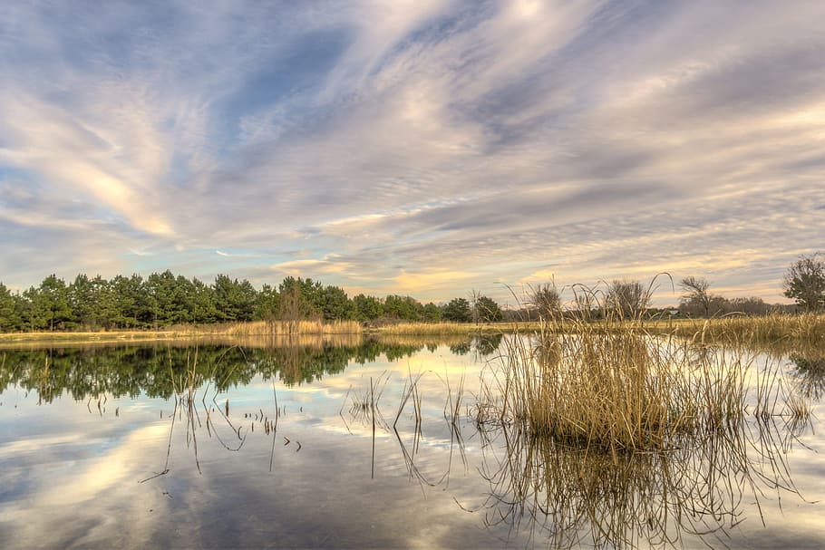 Расслабляющие волны. Звуки природы - Тихое озеро ✦ Звуки Природы Для Сна ✦ Sounds Of The Forest смотреть онлайн