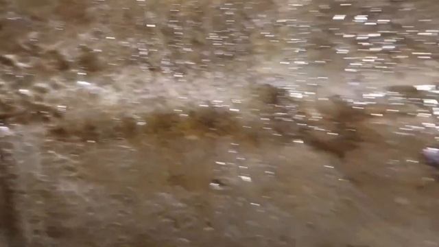 podkapaev.снт . Юбилей. Даже полутораметровые кольца , поднимает глина. смотреть онлайн