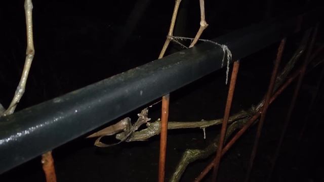 Пирометр CONDTROL Maxwell 3