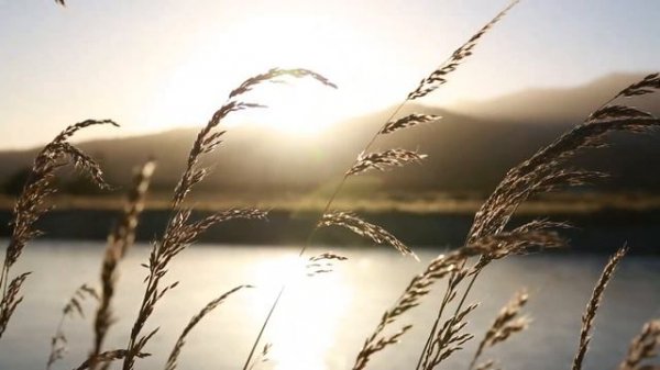 Расслабляющие звуки Волн  звук 5.1| Relaxing Sounds of Waves sound 5.1