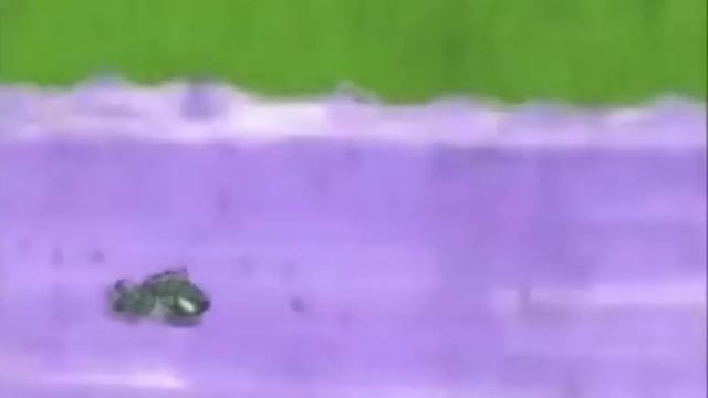 【MAD】ねこぢる草×You're Not Here【サイレントヒル】