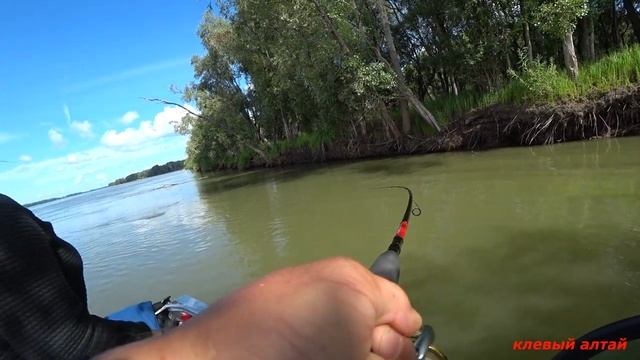 Настоящая РЫБАЧКА! Рыбалка и отдых на реке! НОЧУЕМ, ЛОВИМ и ГОТОВИМ... смотреть онлайн