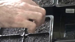 ДНЕВНИК ТАБАКОВОДА № 1 ( 15.02.16. ПОСЕВ СЕМЯН ТАБАКА. )' ТАБАК