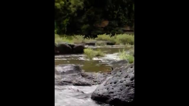 Вьетнам. Водопад Понгур смотреть онлайн