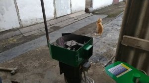 Приобрёл Зернодробилку Мощнее//Производительность 1500 кг в Час 220вольт  //Замеры Чуть Позже