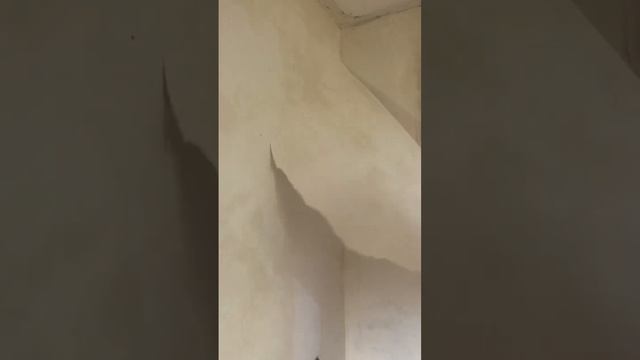 Стеклохолст не клее для обоев не держится #стройка #работа #строительство #стеклохолст #недержится смотреть онлайн