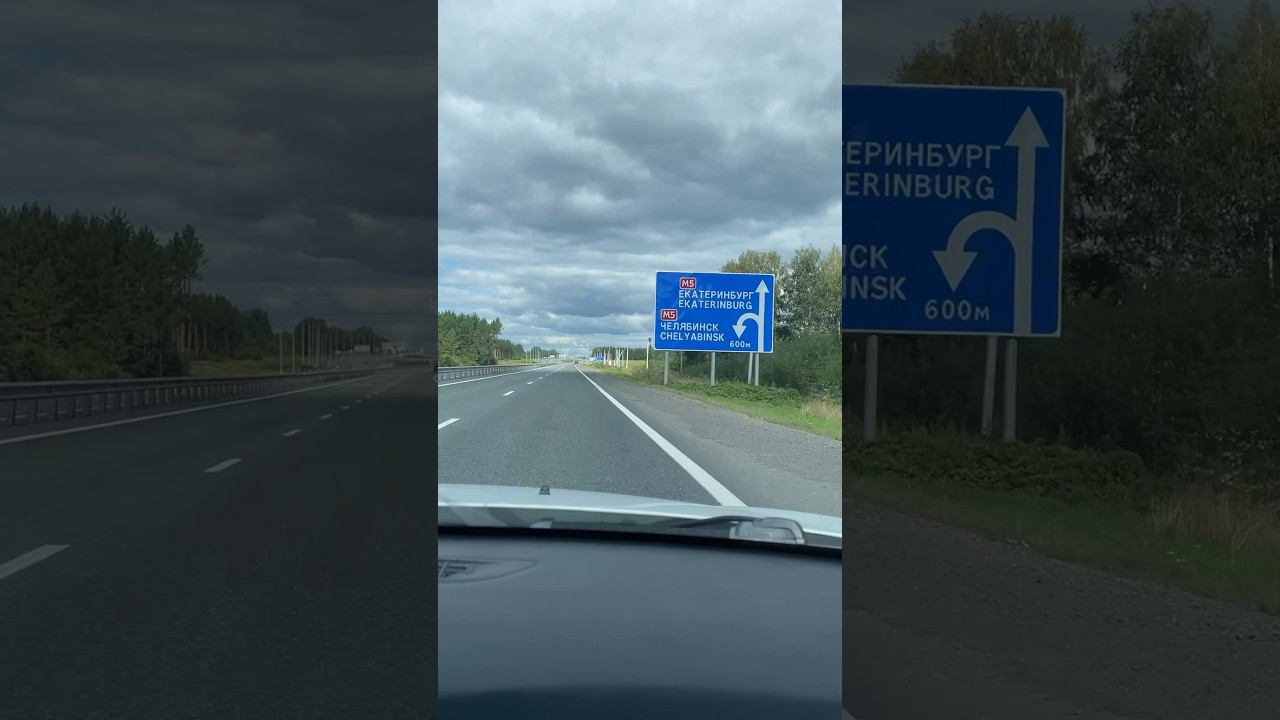 Один день за минуту #vlog #belka #live #shorts смотреть онлайн