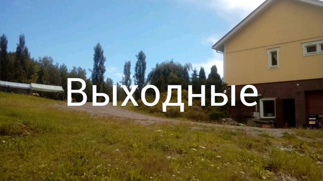 Сбор КЛУБНИКИ в Финляндия 2019. Фотоотчет на ферме. Как это было в этом году #работавфинляндии смотреть онлайн