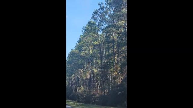 Ft Walton Beach,Destin смотреть онлайн