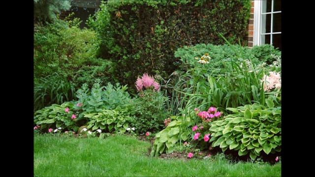 МИКСБОРДЕРЫ ИЗ МНОГОЛЕТНИКОВ. ГОТОВЫЕ СХЕМЫ И ПОДБОР РАСТЕНИЙ смотреть онлайн