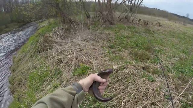 Рыбалка в заповедных местах.Хариус на спиннинг. смотреть онлайн