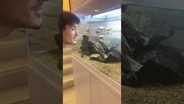 Лучший том ям в мире — в Алмате, представляете! Попробуйте сами, зайдите в TomYumBar! #обзор #томям