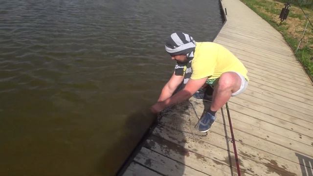 Платная рабалка (Подольск) Fisherix