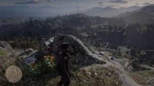 Где найти могилу Артура Моргана►RDR 2►сюжетные спойлеры!!!