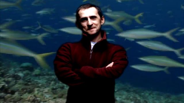 Саша и Сектор газа поет хе хе 30 лет смотреть онлайн