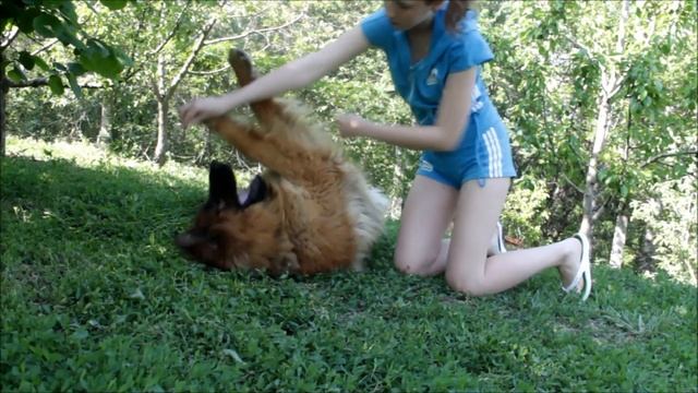 Видеоурок №2 - Команда "Кувырок!" смотреть онлайн