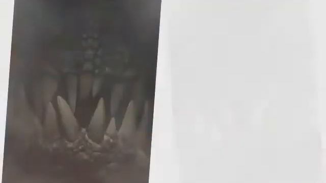 Динозавр съел акулу смотреть онлайн