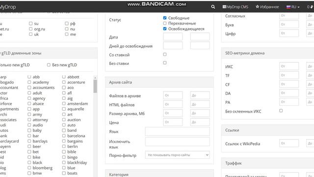 Дроп-домены (дропы): что это такое и для чего они нужны?