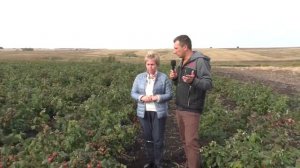 САДОВЫЙ ГИД В ГОСТЯХ У ПИТОМНИКА ШКОЛЬНЫЙ САД!!! РАСКРЫВАЕМ ВСЕ СЕКРЕТЫ