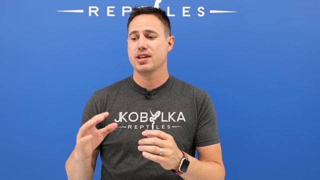 What Morph Is Your Pet Store Ball Python? | Morphs 101 смотреть онлайн