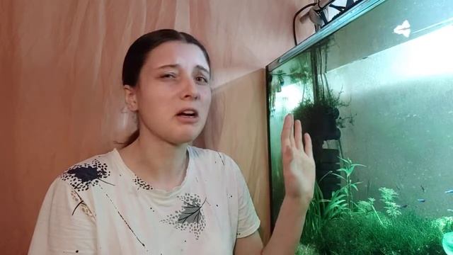 Проблема перекиси водорода в аквариуме. Борьба с водорослями смотреть онлайн