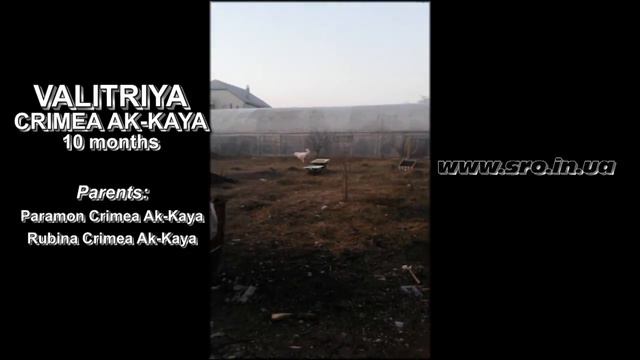Valitriya Crimea Ak-kaya, 10 months смотреть онлайн