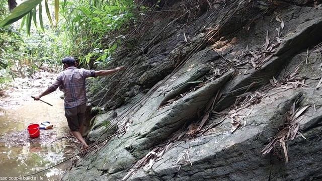 catching stream fish with cycads and diving guns смотреть онлайн
