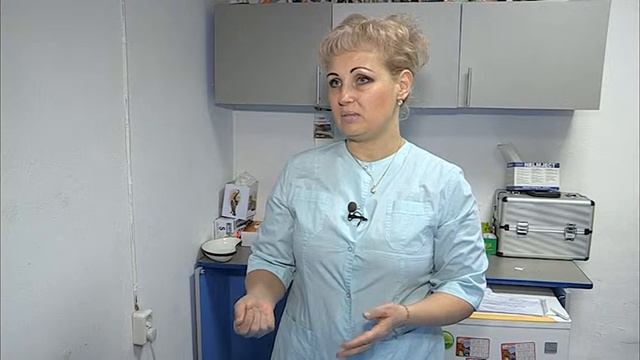 Рыжий кот-15.02.2017 смотреть онлайн