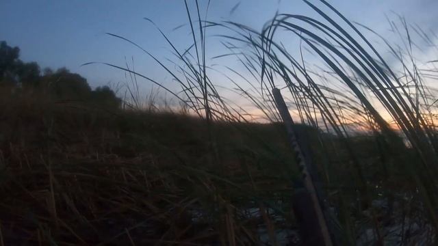 ОХОТА на УТКУ. Что за утка? смотреть онлайн