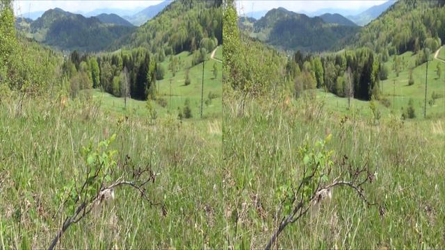 Babiogórski Park Narodowy 3D - Film krajoznawczo-edukacyjny w technologii 3D смотреть онлайн