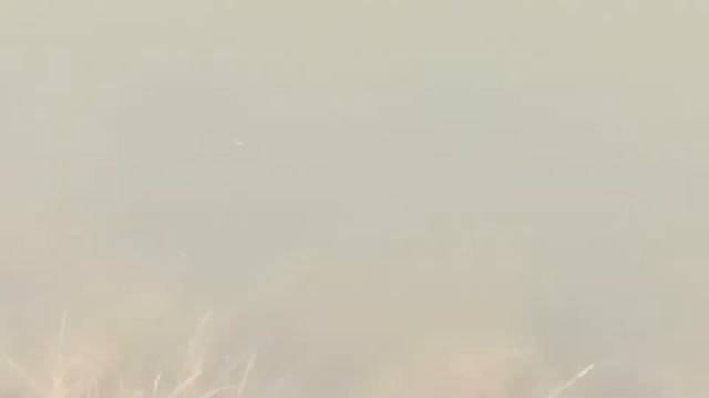 12 апреля на пруду. Рыба уже немного активна. смотреть онлайн