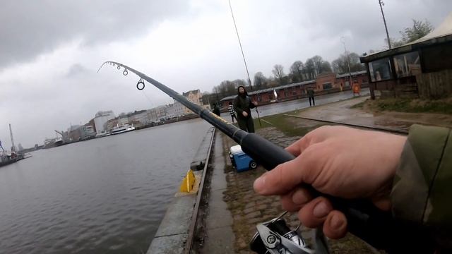 Сельдь пряного Посола.Как не крути но лучшая Селедка это Салака. смотреть онлайн