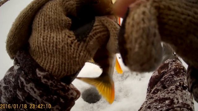 Испытание самоделой приманки на окуне смотреть онлайн