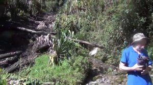 Индонезия. Папуа — Новая Гвинея.