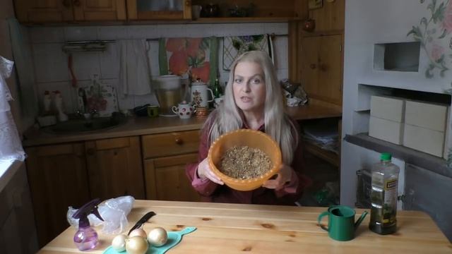 Выращиваем зелёный лук в пакете смотреть онлайн